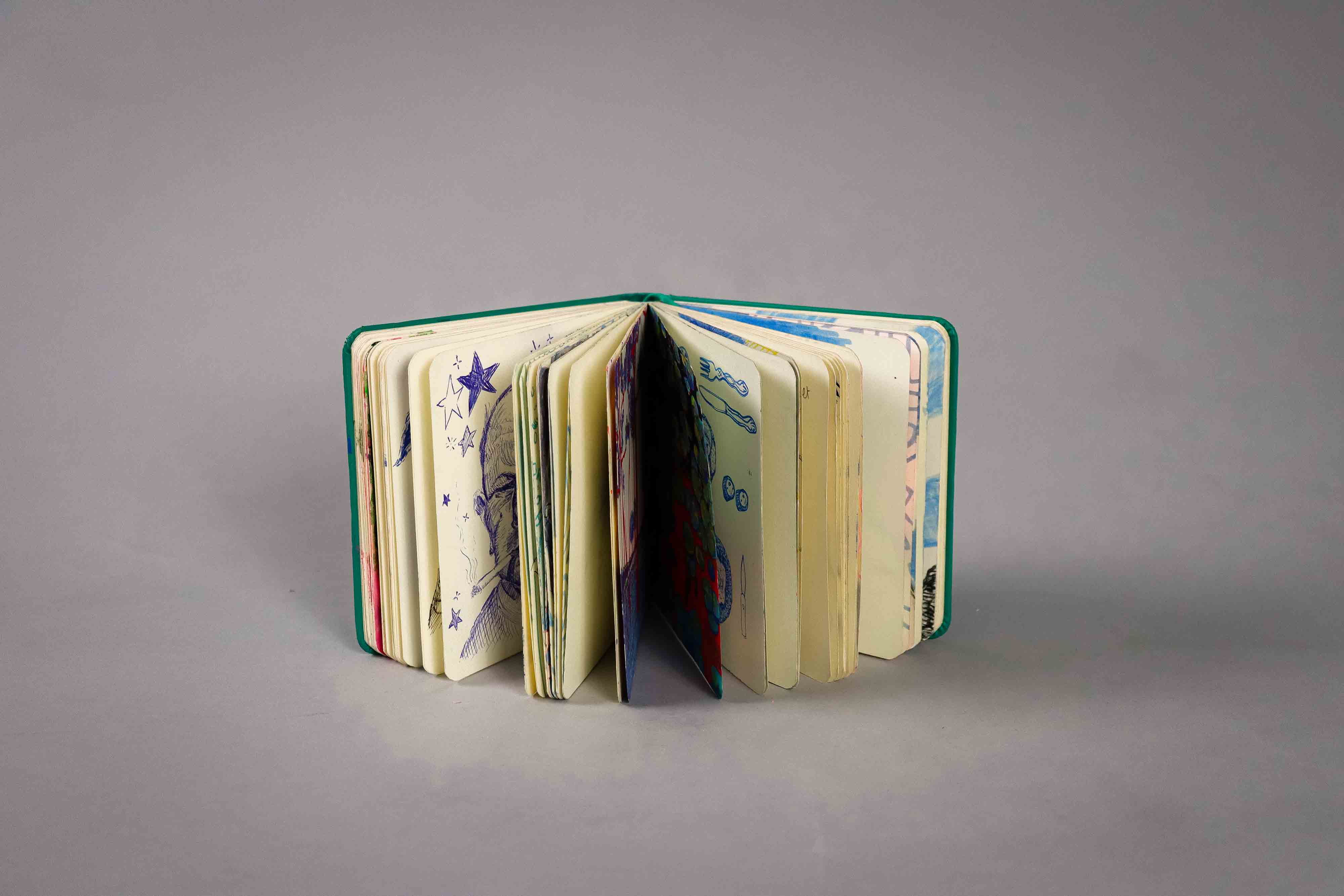 extraits carnets